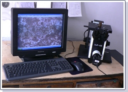 �c���鿴Ԕ����Ϣ<br>���}����������x ��x�Δ���3318